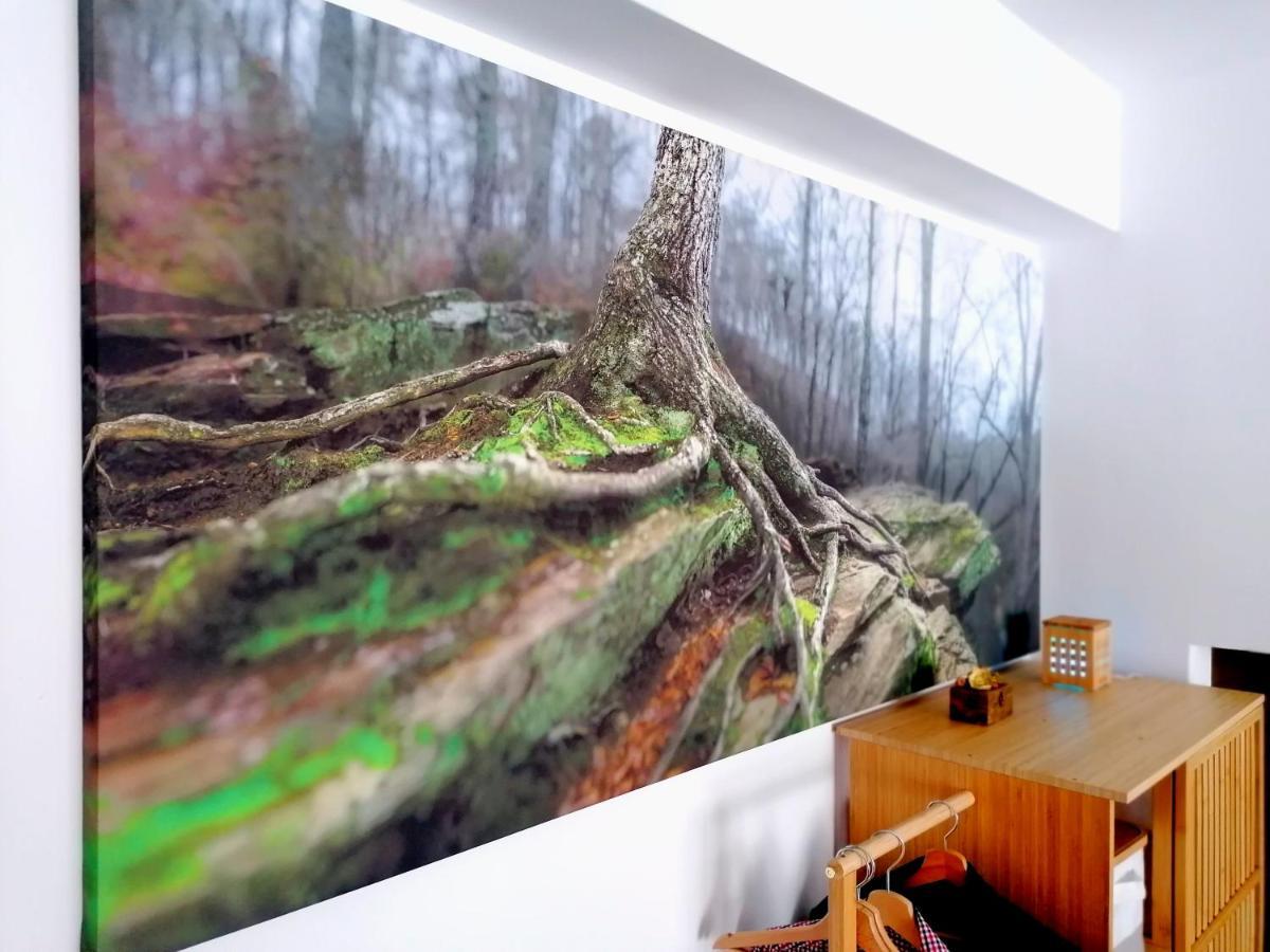 Wooden Touch Studio Brasov Ngoại thất bức ảnh